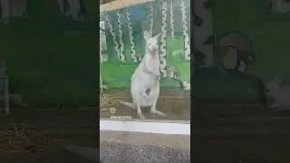 #жара #солнце #чуднаядолина #учкудук