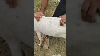 Kaisa Laga Mera Kamaal🥱 