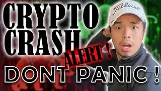 The MASSIVE CRYPTO CRASH: DOGECOIN/ SAFEMOON/ OTHERS | WHAT SHOULD WE DO