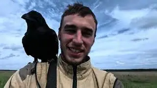 Проводим экскурсию с черными вОронами и лосями