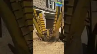 Посадка крупномера | Саженцы и семена по суперпредложениям ссылка в описании