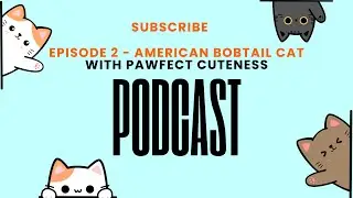 Episode 2 - Why American Bobtail Cats Make GREAT Family Pets