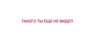 Такого ты еще не видел...