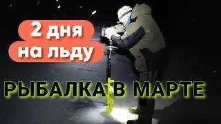Рыбалка в Марте! 2 дня на льду в палатке. Судаки Окуня и Лещи ЛОМАЮТ КРЮЧКИ