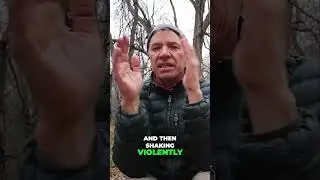 Mysterious Forest Phenomenon | Trees Violently Shaking!