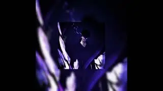 Mr.Kitty - After Dark (slowed + reverb)