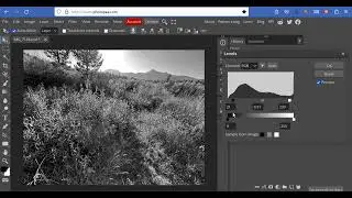 Levels, Curves, & Histograms in Photopea