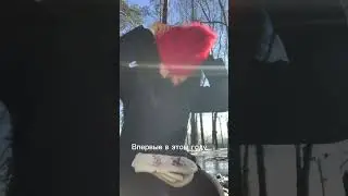 Зима на юге России 