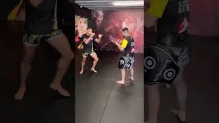 Muay Thai Low Kicks - Training with Panicos Yusuf