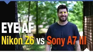 Eye AF Comparison! Nikon Z6 vs. Sony A7 III