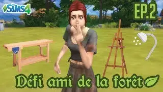 🍂 LES PREMIERS ACHATS 🍂 EP.2 DEFI AMI DE LA FORET