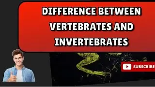 Difference between Vertebrates and Invertebrates||Vertebrates Vs Invertebrates