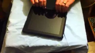 Apple iPad apple case