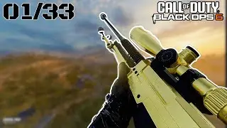 Starting my Black ops 6 CAMO grind !