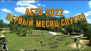 Лето 2022 - первый месяц спустя