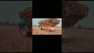 #mahuva