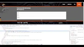 JavaScript form validation. Save your company from disaster