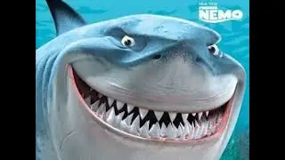 Top 5 Shark