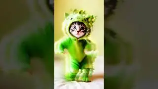 Budots dance emergency mix #kitten #viralvideo