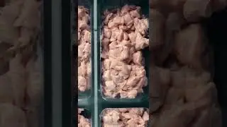 Tavuk Dünyası Şefin Tavasının içeriğini ilk kez göreceksiniz!
