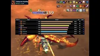 Rank 4 Fankriss Retribution Paladin | WoW Classic
