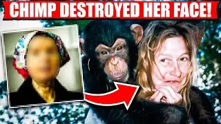 One Of The MOST Brutal Chimpanzee Attacks In HISTORY!