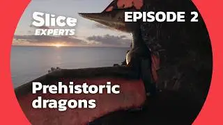 New Prehistory : The Mystery Of The Feathered Dragons | SLICE EXPERTS