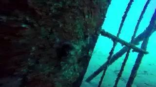 Hilma Hooker Wreck Dive - Bonaire - 3/1/16
