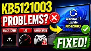 Windows 11 KB5121003 Update Problems? Fix Black Screen, Lag & Game Crash