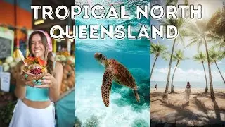 Is this the Best Road Trip in Queensland? | Cairns to Daintree Rainforest Travel Vlog