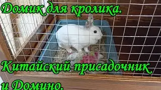 Домик для кролика. Китайский присадочник и Домино.