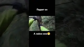 #gr8 #enduro #эндуро упал-вставай, встал-упай, ëу чокопай