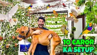 10 CRORE KE BIRDS SETUP P BASANTI KO LE GAYA | BIRDS VLOG