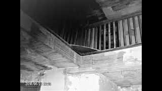 Paranormal Pulse™ Discussion - Photos and Shadows Part 2