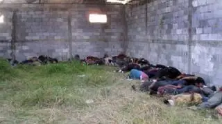 Massacre in Mexico and Human Trafficking (Dispatch)