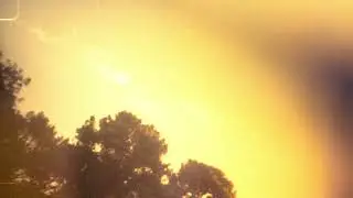 yonderling - Golden Gardens