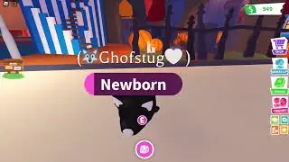Roblox Adopt - Me [Halloween Spray Painted Pets]