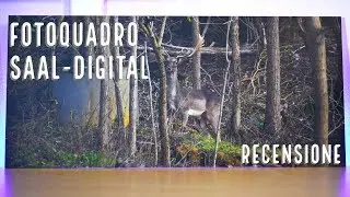 FOTOQUADRO BY SAAL-DIGITAL | RECENSIONE