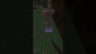 Minecraft Coffin Dance⚰️ #minecraft #shorts