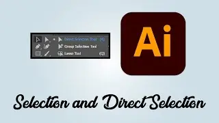 How to use selection tools and direct selection tools in Adobe Illustrator