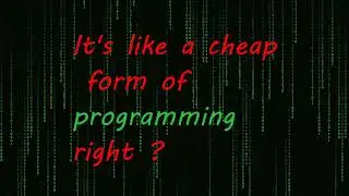 What TRULY is: SCRIPTING (vs Programming)