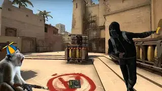 Wingman But I Miss 80 Percent of my Shots