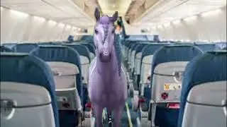 Tea on the plane
