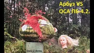 Выстрел из травмата в арбуз (shot in watermelon)