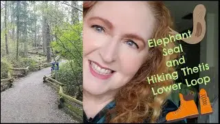Elephant Seal and hiking Thetis