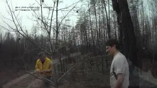 AMBA1464.MOV