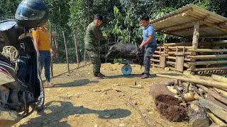 Complete the bathroom and toilet and sell pigs for money | Family Farm Life