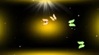 Butterfly light effect video | New color light effect video(Wd Wedding Effects)