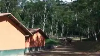 Haras Espelho Dàgua
