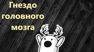 🐟Гнездо головного мозга · Crossout/Кроссаут